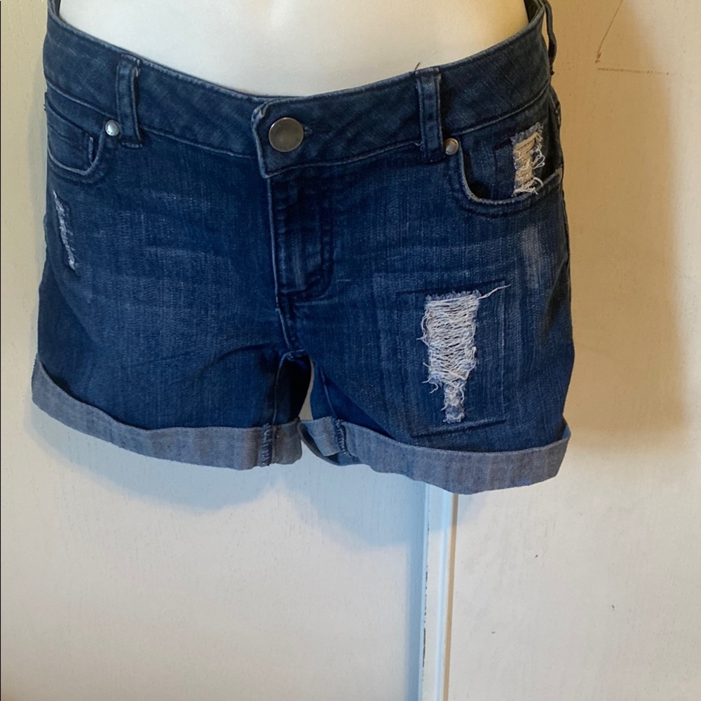 Daisy fuentes shorts ex boyfriend size 2 color blue